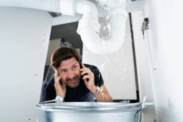 Best Sewer Line Repair  in Manson, IA