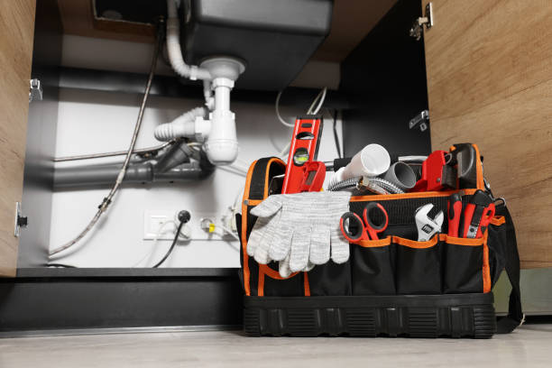 Best Plumbing Services Near Me  in Manson, IA
